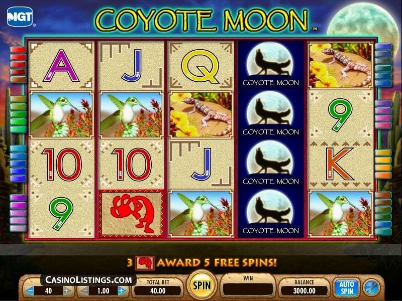 Casino Slot Machine -70666